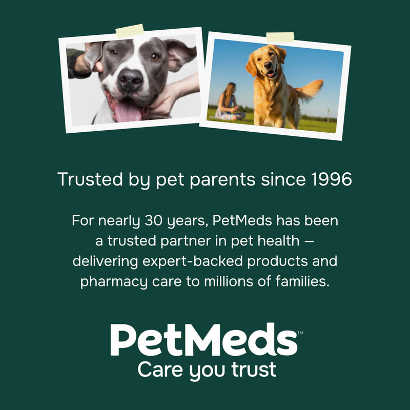 PetMeds Hip & Joint Supplement for Dogs - Vitamins, Glucosamine, MSM, Chondroitin, Collagen for Joint Mobility & Flexibility - Senior Dog Arthritis Support - Beef & Sweet Potato Flavor - 60 Soft Chews - PawsPlanet Australia