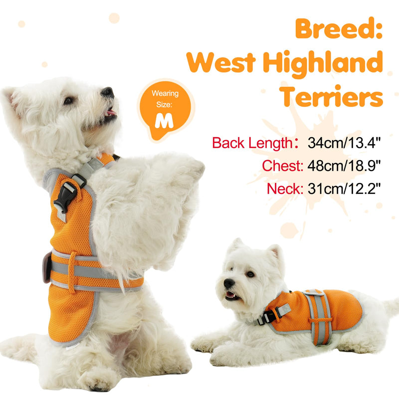 Dog Cooling Vest for Medium Dogs,Lightweight Cooling Dog Jacket,Breathable Mesh Dogs Shirt Harness Vest with Adjustable Straps Reflective Stripe for Hot Weather with D-Ring for Beach,Hiking,M Orange - PawsPlanet Australia