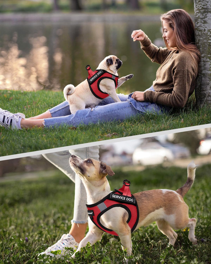 FAYOGOO Service Dog Vest for Small Breed - Lightweight Dog Harness with 6PCS Removable Patches - Puppy Harness and Leash Set for Walking,Training Red S(Chest 12''-14'')