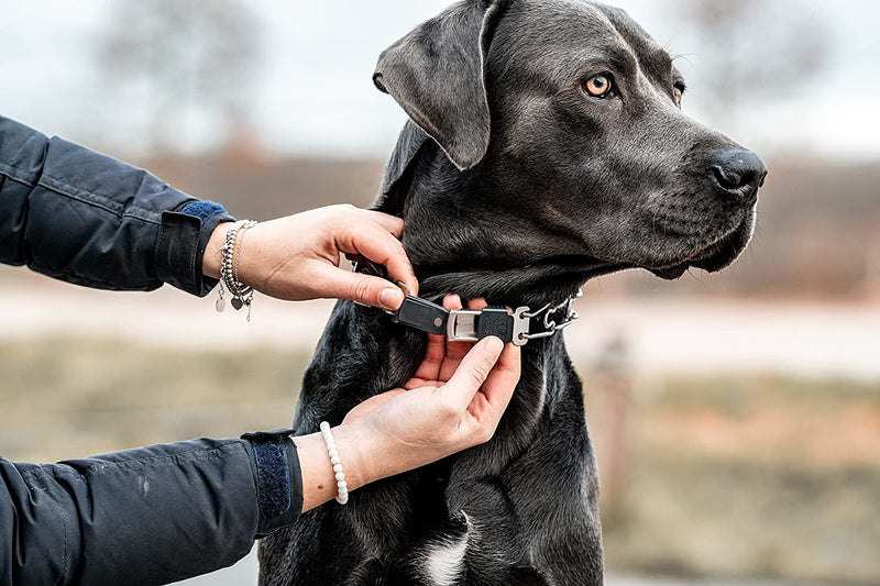 Herm Sprenger Prong Dog Collar – Stainless Steel Training Collar with Quick Release ClicLock Buckle, 3 Extra Links, 30 Comfort Tips, for Small Medium Large Dogs, Made in Germany Medium-Large (3.2 mm links) - PawsPlanet Australia