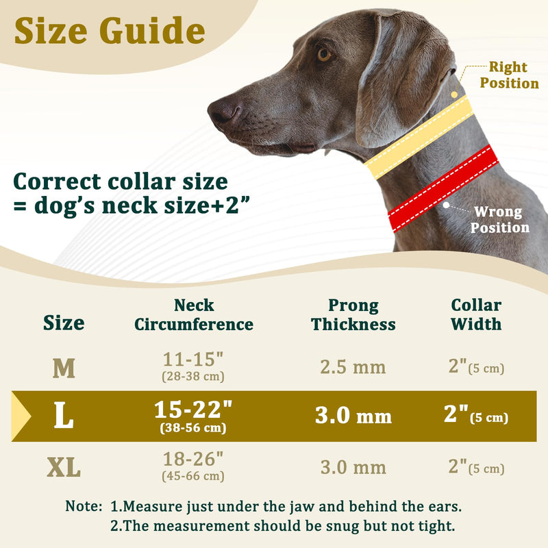 Mayerzon Prong Collar for Large Medium Dogs, Patented Reflective Pinch Collar with Metal Buckle, No Pull Adjustable Hidden Covered Dog Walking Training for Pitbull German Shepherd Doberman Large: 15''-22'' - PawsPlanet Australia