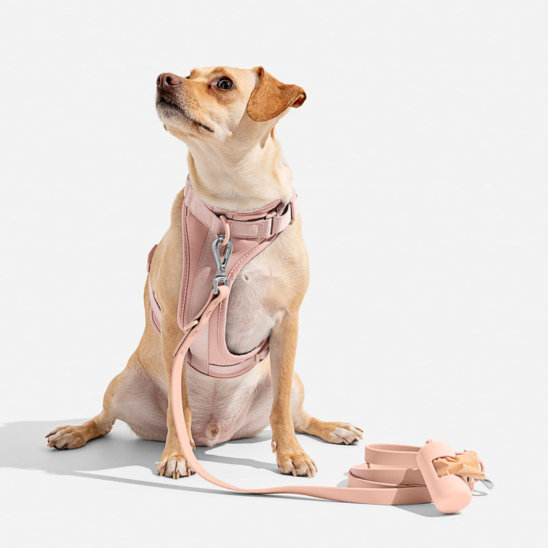 Wild One Harness 2.0 - Medium - Pink