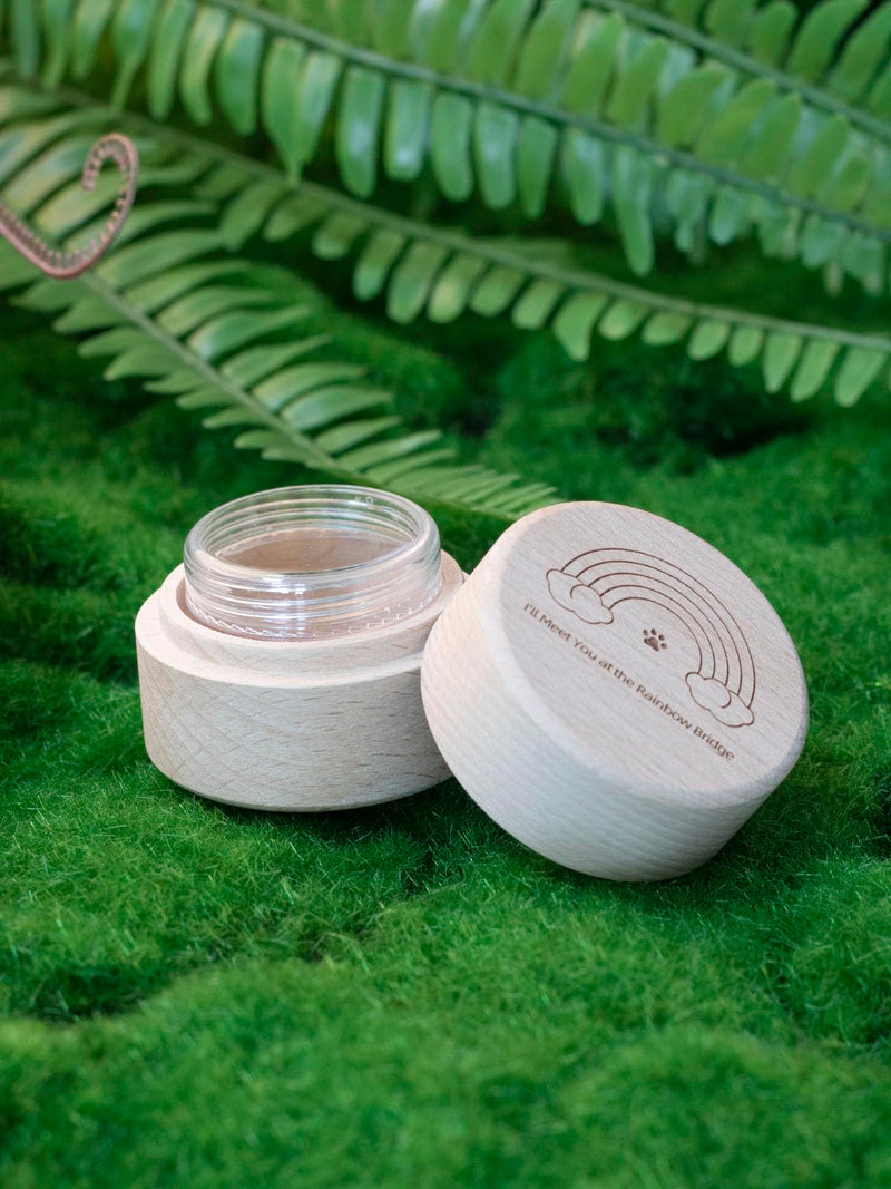 Small Pet Urns for Dog Ashes, Mini Cremation Urn for Pet Ashes, Pet Hair Keepsake Box, Tiny Urn for Dog or Cats Ashes, Small Urn for Ashes, Rainbow Bridge Dog or Cat Memorial Gifts - PawsPlanet Australia