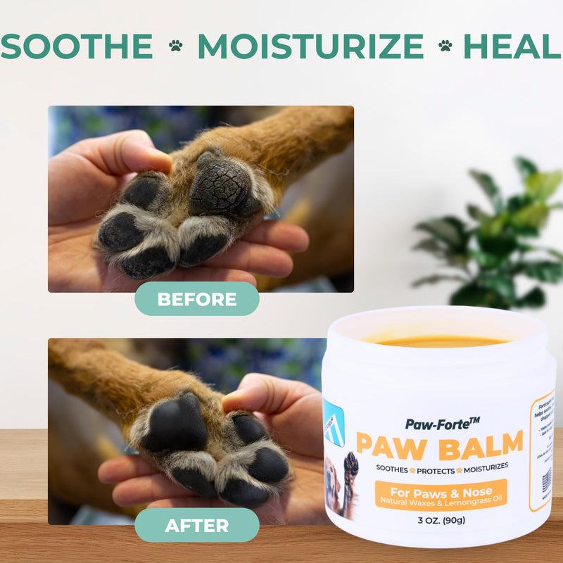 Forticept PAW Balm | Dog Paw Protector from Hot Pavement, Dirt, Salt, Ice and Snow | Soother and Moisturizer for Cracked Dog Paw Pads | Natural Wax Based, Lick Safe 3 oz - PawsPlanet Australia