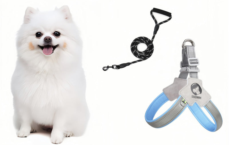 Dog Harness and Leash Set, Breathable Reflective Material, Durable Construction, Ergonomic Handle for Comfort, Ideal for Walks and Outdoor Activities (Blue, M) Blue - PawsPlanet Australia