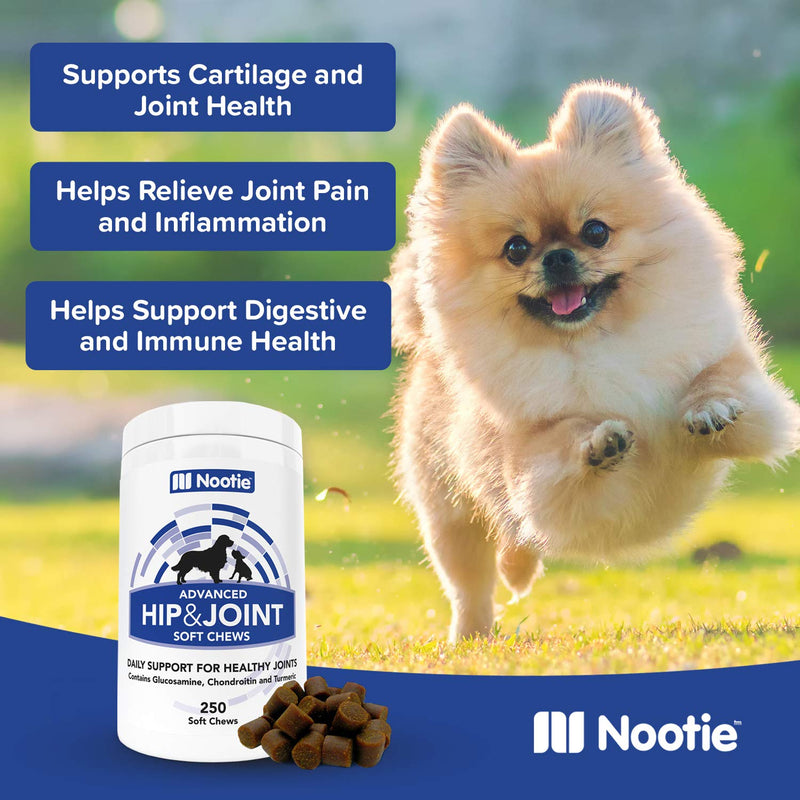 Nootie Glucosamine for Dogs - Hip and Joint Soft Chews Supplement for Dogs - Daily Dog MSM Chondroitin Chews with Turmeric - Joint Care Vitamins for All Breeds and Sizes 250 Count