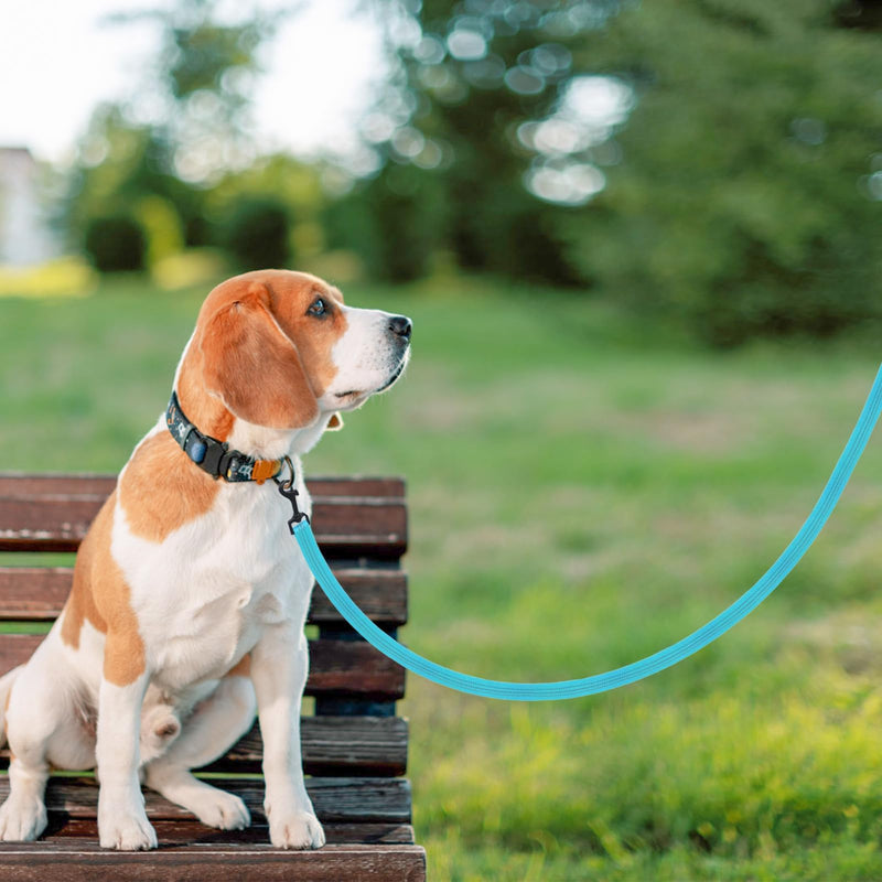 PUPTECK Reflective Dog Leash with Comfortable Padded Handle Durable Nylon Dog Lead for Small Medium and Large Dogs Cats Walking Running Training Outside, Teal, M 4.9 FT - PawsPlanet Australia