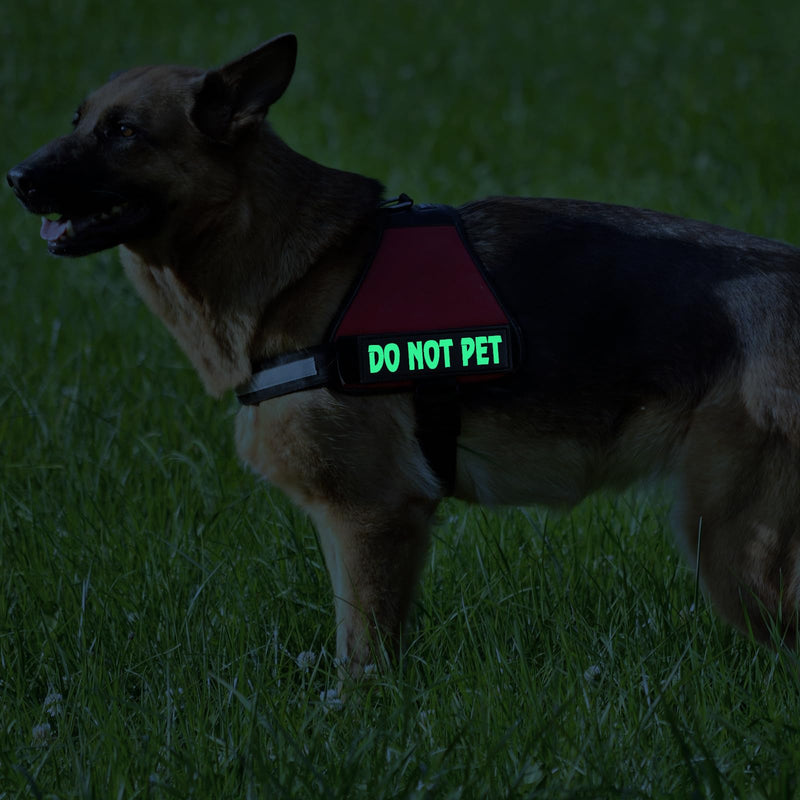 4 Pack Reflective Service Dog Patch with Hook Backing, Tactical Dog in Training Harness Reflective and Removable Tags, Do Not Pet and in Training Dog Patches (6.2 X 2 Inch) Large - 2”x 6.2” IN TRAINING*2 + DO NOT PET*2 - PawsPlanet Australia