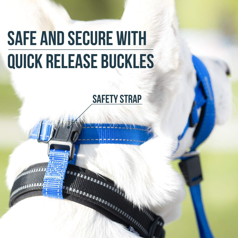 GoodBoy Dog Head Halter with Safety Strap - Stops Heavy Pulling On The Leash - Padded Headcollar for Small Medium and Large Dog Sizes - Head Collar Training Guide Included (Size 1, Blue Nylon) Size 1 (Pack of 1) Blue Nylon / Black Padding - PawsPlanet Australia