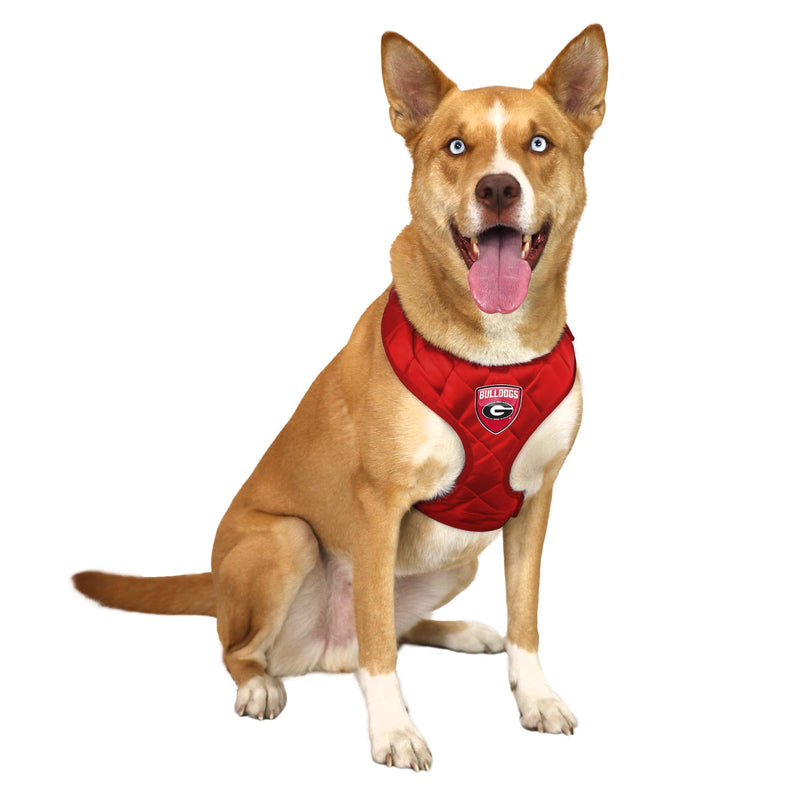 Littlearth NCAA Unisex-Adult NCAA Velvet Pet Harness Georgia Bulldogs Small Team Color - PawsPlanet Australia