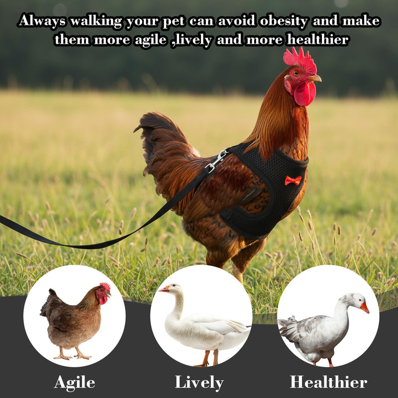 Chicken Harness with Leash Set, Upgraded Double Adjustable Mesh Breathable Chicken Training Harness, Pets Leash for 3-4 Lb Hens Duck Goose Small Pets Training Walking Supplies (Black) - PawsPlanet Australia