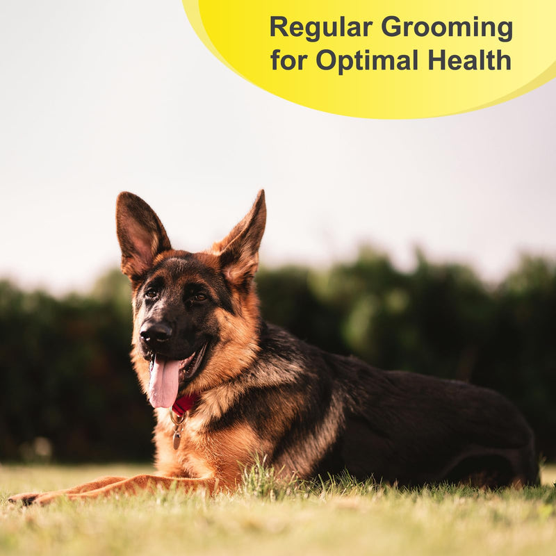 Professional Dog Brush for Shedding, Undercoat Rake for Medium and Long Haired & Double Coated Dogs, Double Sided Design with 12+23 Blades - PawsPlanet Australia