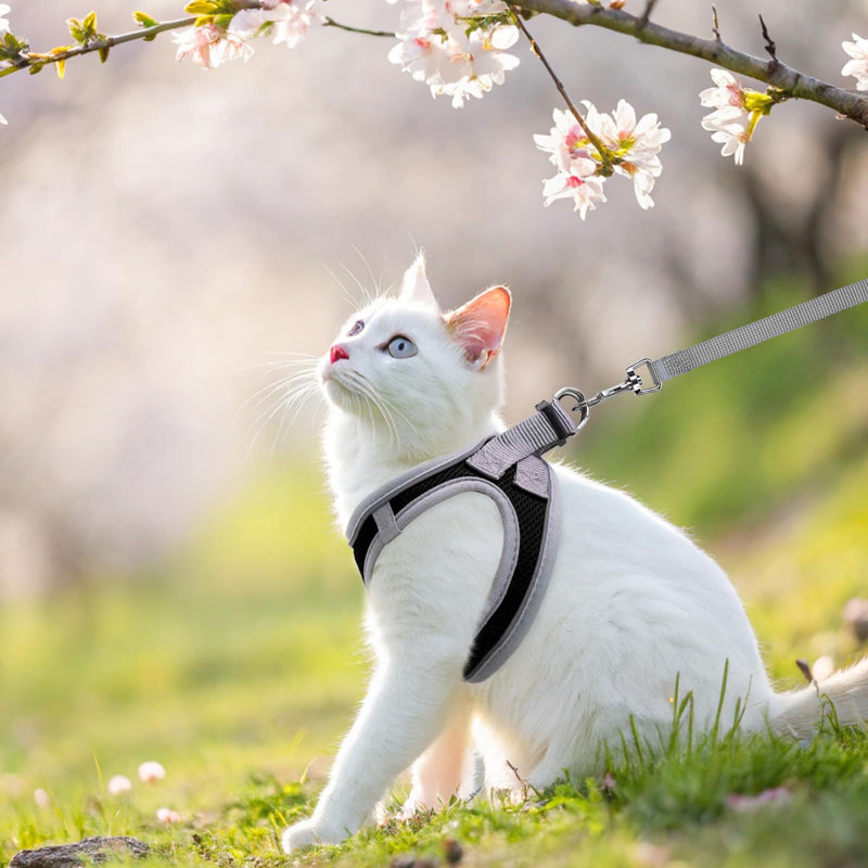 SCENEREAL Cat Harness and Leash Set Escape Proof, Adjustable Soft Air Mesh Kitten Harnesses for Girls Boys Small Medium Big Cats, Reflective Light Travel Pet Walking Vest for Puppy Rabbit, Black S Black(gray wrap and leash) S(Chest 11.5-13") - PawsPlanet Australia