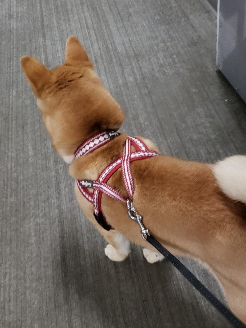Blueberry Pet 4 Colors Soft & Comfy 3M Reflective Jacquard Padded Dog Harness, Chest Girth 20.5" - 26", Marsala Red, Medium, Adjustable Harnesses for Dogs Medium(20.5" - 26") Chest Girth - PawsPlanet Australia