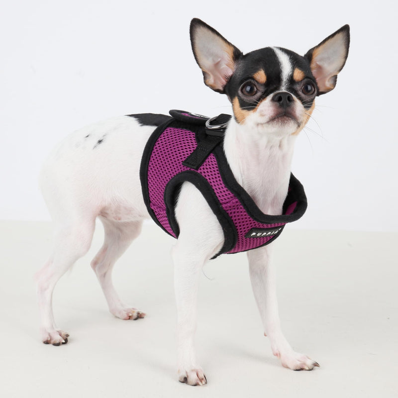 PUPPIA International Harness Soft B Vest, Large, Purple - PawsPlanet Australia
