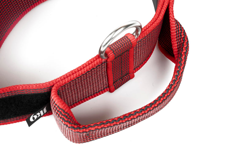 Julius-K9 Color and Gray Collar with Handle and Interchangeable Patch, 50 mm (49-70 cm), Red-Gray - PawsPlanet Australia