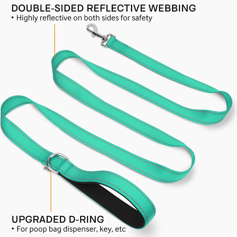Joytale Dog Leash, 6 FT Double-Sided Reflective, Padded Handle Nylon Heavy Duty Leashes for Medium & Large Dogs Walking, Teal, 6FT 6 ft Standard - PawsPlanet Australia