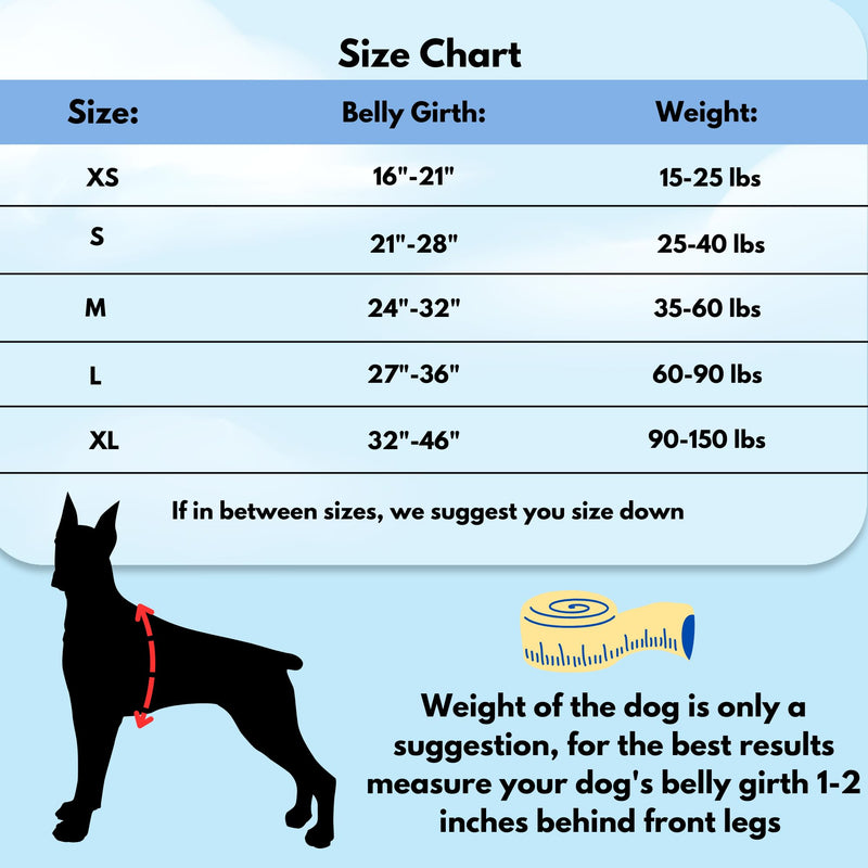 ShawnCo Dream Walk No-Pull Dog Harness- Adjustable, Comfortable, Easy to Use Pet Halter to Help Stop Pulling for Small, Medium and Large Dogs (Moonglow, M) MoonGlow - PawsPlanet Australia