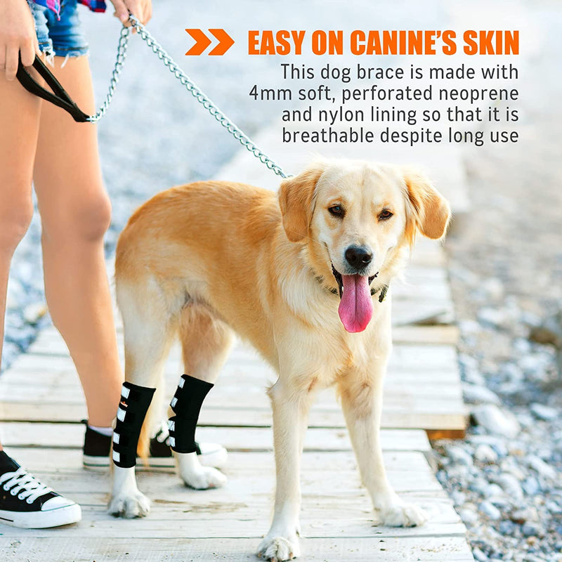 NeoAlly Dog Canine Braces for Rear Legs Super Supportive with Dual Metal Spring Inserts to Stabilize Dog Hind Legs, Help Dogs with Injuries, Sprains, Arthritis, ACL (M Pair) M (1 Pair)