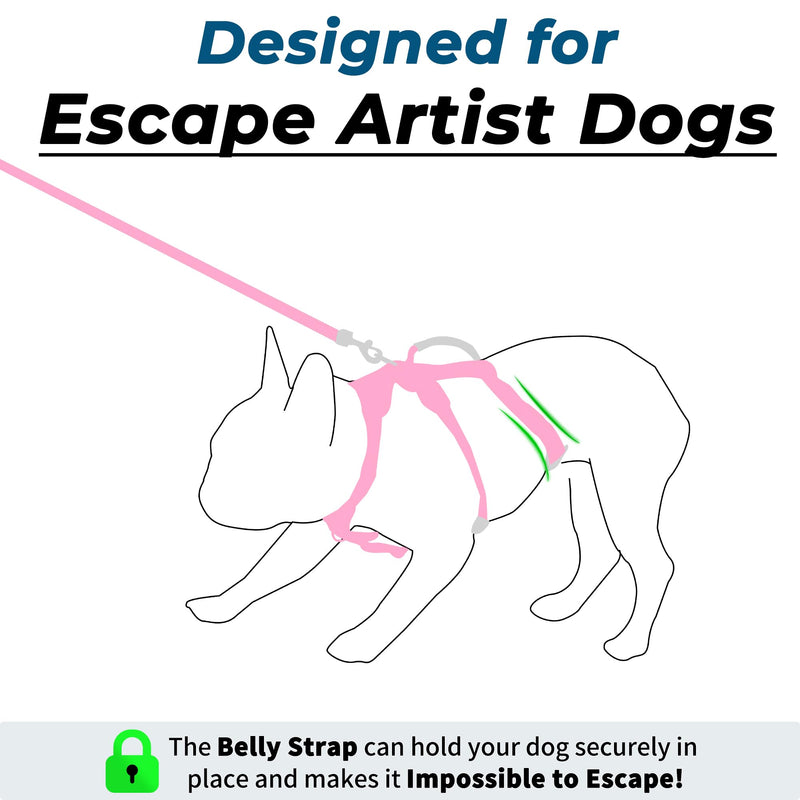 Escape Proof Dog Harness and Leash Set, Lightweight Dog Harness with Lift and Assist Handle, No Pull Reflective Pet Vest for Small Medium Dogs, Ideal for Puppy Walking and Training (Pink, M) Pink (Harness+Leash) - PawsPlanet Australia