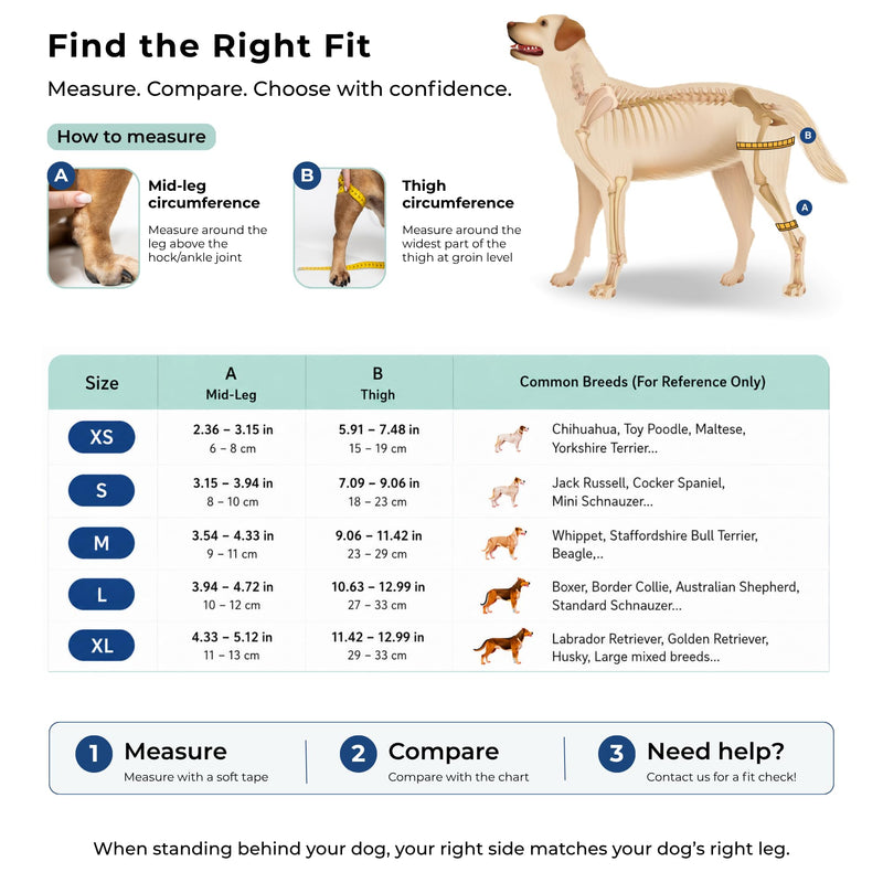 Dog Knee Brace for Hind Leg Support - Left Leg, CCL ACL Brace for Dogs, Vet Approved, Adjustable Orthopedic Support for Arthritis, Ligament Injuries & Post-TPLO Surgery Recovery (Small) Small