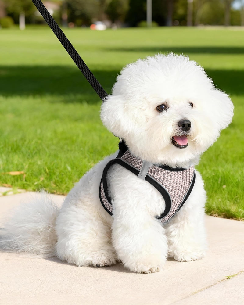 Dog Harness Small Sized and Leash Set, Step in Soft Light Puppy Vest, Breathable Mesh Pet Harness Suitable for Puppies and Kittens. (Pink, XXS(Chest:10.24-11.81")) Pink XXS(Chest:10.24-11.81") - PawsPlanet Australia