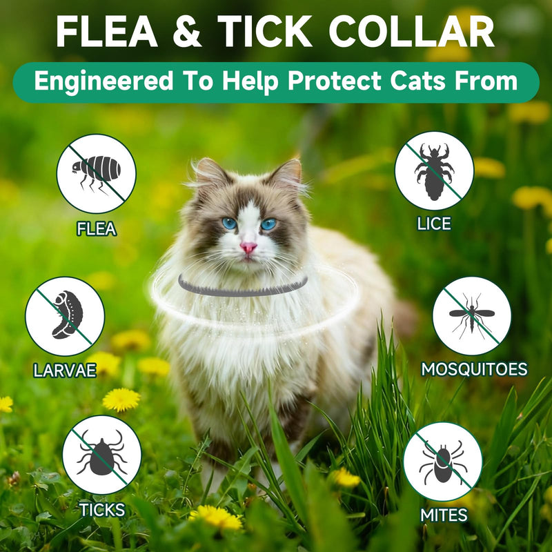 4 Pack Cat Flea Collars, Cat Flea and Tick Treatment, 32 Months Protection Flea and Tick Prevention for Cats, Waterproof Flea Collar for Cats, One Size Fits All for All Breeds, Grey