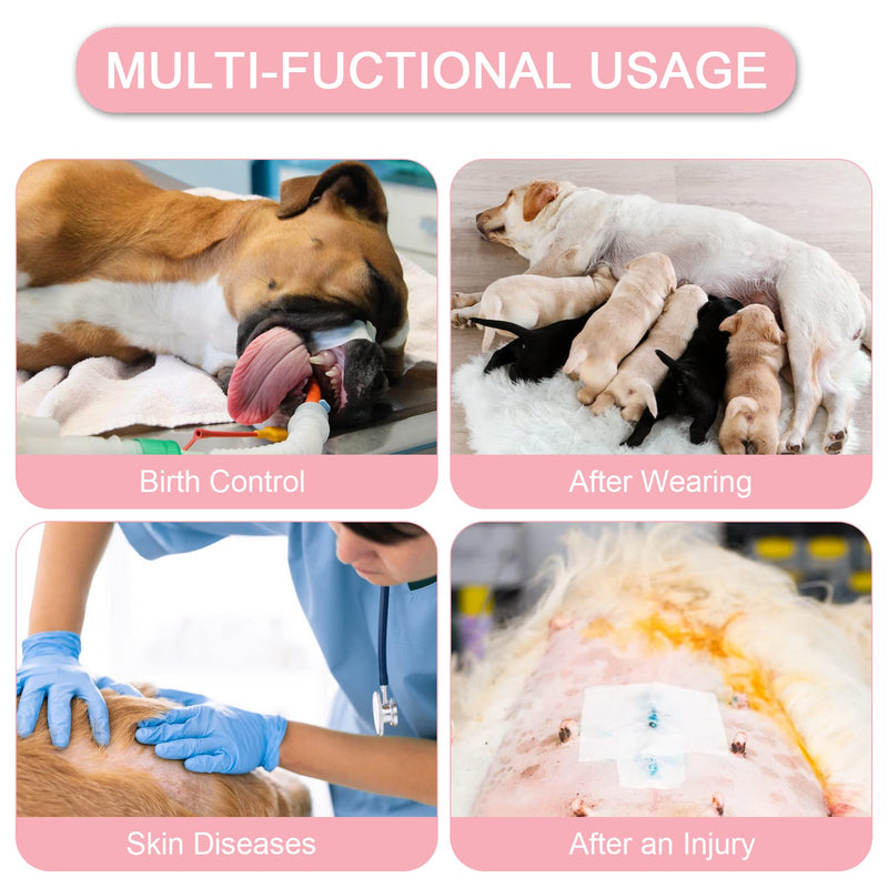 Dog Surgical Recovery Suit Pet After Surgery Onesie Cat Bodysuits Cone E-Collar Alternative for Female Male Dog Pink Leopard/X-Small X-Small - PawsPlanet Australia