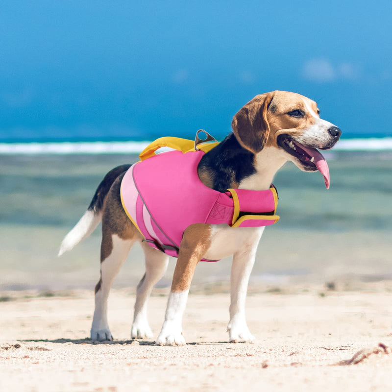 Queenmore Dog Life Jacket,Dog Life Vest for Swimming Boating,Life Jackets for Small Large Medium Dogs,Ripstop Pet Life Vests with Strong Rescue Handle (X-Small, Pink/Fuchsia) X-Small - PawsPlanet Australia