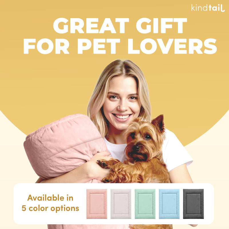 KindTail Dog Crate Pad - Soft Velvet, Reversible Bed - Machine Washable Kennel Mat for Pets up to 15 lbs, Mattress for Cozy Sleeping - 20” x 15” x 1” (Light Blue, Small) 20.0"L x 15.0"W x 1"Th Light Blue - PawsPlanet Australia