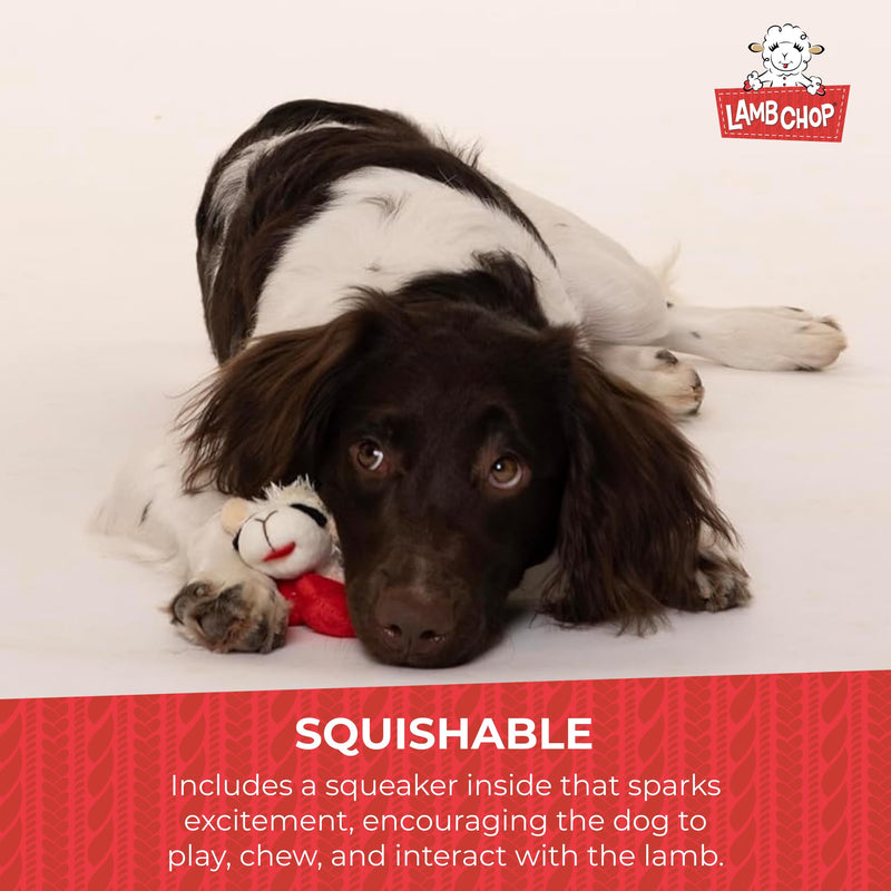 Multipet INTERNATIONAL 843140 Lambchop Plush Squeak Toy Mini for Pets, 6-Inch, White, small 6" - PawsPlanet Australia