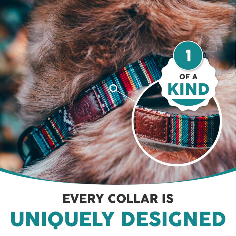 Embark Urban Dog Collar and Leash Set – Mayan Dog Collar for Small Dogs with Strong Buckle and Matching 4 Ft Leash, Waterproof, Comfortable, and Perfect for Adult Dogs - PawsPlanet Australia