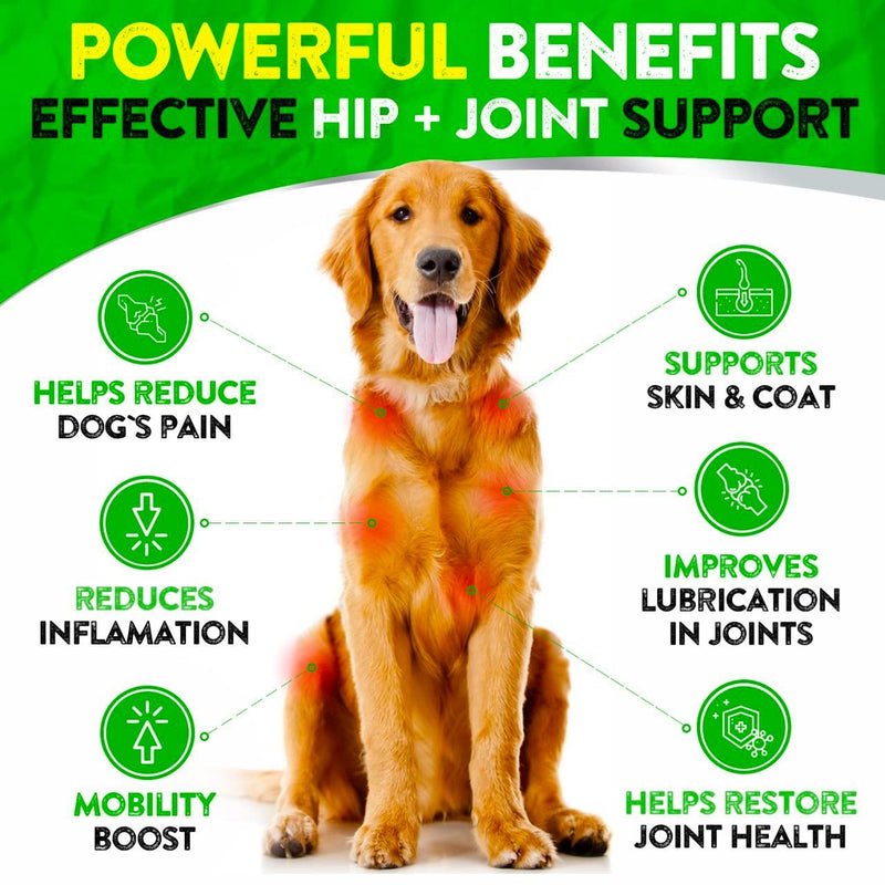 Hemp Hip and Joint Supplement for Dogs - Glucosamine for Dogs - 170 Dog Joint Pain Relief Treats - Chondroitin, Hemp Oil, MSM - Mobility & Flexibility Support - Advanced Joint Health - Made in USA 12 Ounce (Pack of 1) Hip & Joint Hem[ Chews