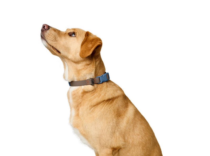 HUNTER Havana Dog Collar Taupe / Smoke Blue with Plastic Coating Fully Adjustable Click Fastener Durable Tear Resistant Weather-Resistant Easy Care Gunmetal Look Size XL Taupe/Smoke Blue
