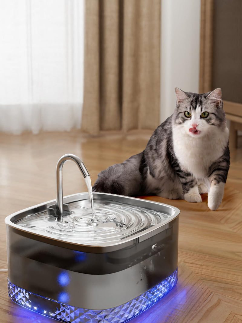 Cat Water Fountain: 75oz/2.2L Automatic Pet Water Dispenser for Cats, 304 Stainless Steel Faucet & Lid Cat Water Bowl Dispenser, Super Silent Pet Water Fountain for Cats Inside, Pump with LED Light Stainless Steel Cat Fountain - PawsPlanet Australia