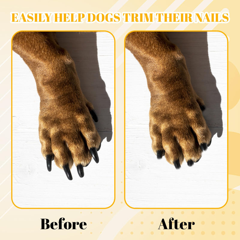 9Pcs Dog Nail File Board, Nail File for Dogs, Dog Nail Scratch Board Suitable for Regular Pet Grooming Routines and Nail Maintenance - PawsPlanet Australia