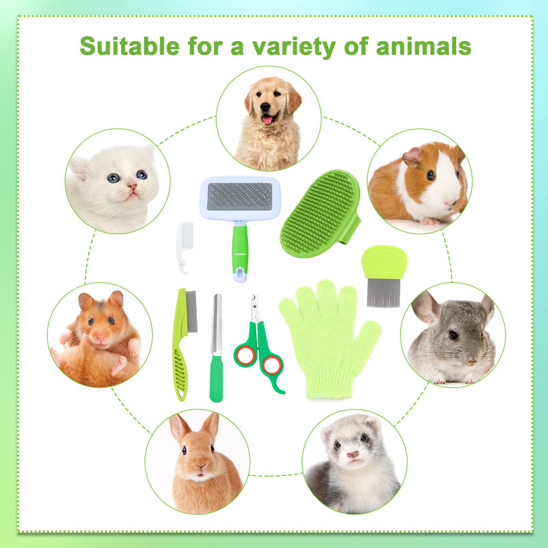 VCZONE 8 Pcs Small Animal Grooming Kit, Pink with Pet Nail Clipper and File, Flea Comb, Pet Shampoo Bath Brush, Pet Shedding Slicker Brush, Bath Massage Glove, Cleaning Comb (Green) Green - PawsPlanet Australia
