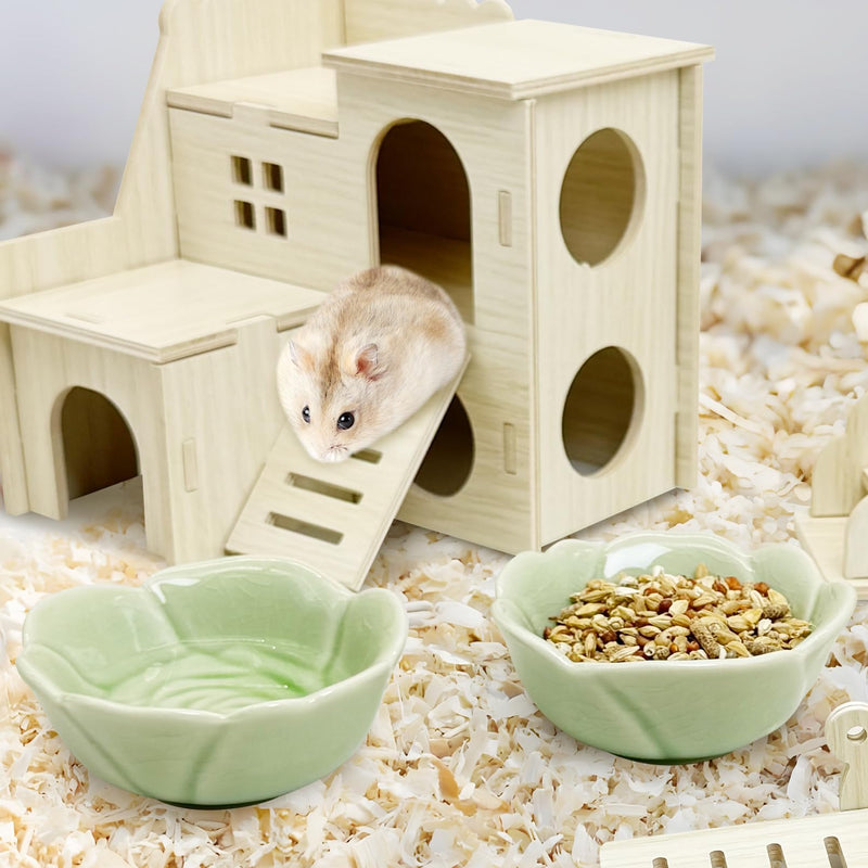 BNOSDM 2 Pcs Hamster Ceramic Food Bowl Flower Series Gerbil Drinking Bowls Anti-Turning Food & Water Dish for Dwarf Syrian Hamsters Gerbil Chinchilla（Green, Rose Pattern） 2.Green - PawsPlanet Australia