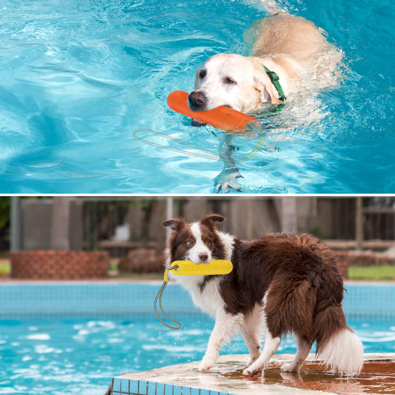 PUPTECK Interactive Dog Pool Toys Water Floating Toys Fetch Training Bumpers 2 Pack - PawsPlanet Australia