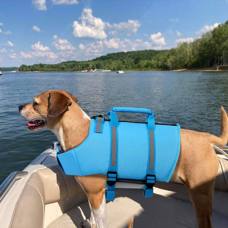 Queenmore Dog Life Jacket, XL Dog Life Vest,High Floating Pet Life Vest for Swimming,Lightweight Adjustable Puppy Life Preserver for Boating,Dog Water Vest with Back Zip,Rescue Handle,Hook (Blue XL) X-Large Blue - PawsPlanet Australia
