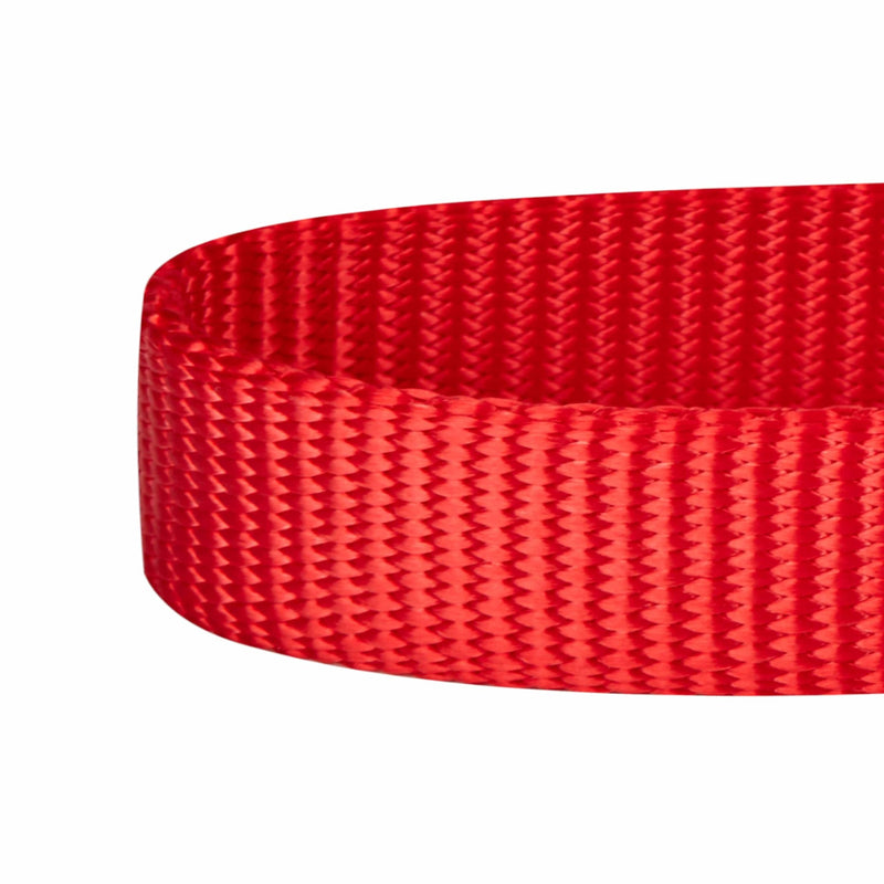 Blueberry Pet Essentials Matching Dog Collar and Double Handle Leash Set in Rouge Red, Adjustable Classic Solid Color Nylon Collar with 4 ft Leash for Large Dogs Rouge Red - Collar + Double Handle Leash
