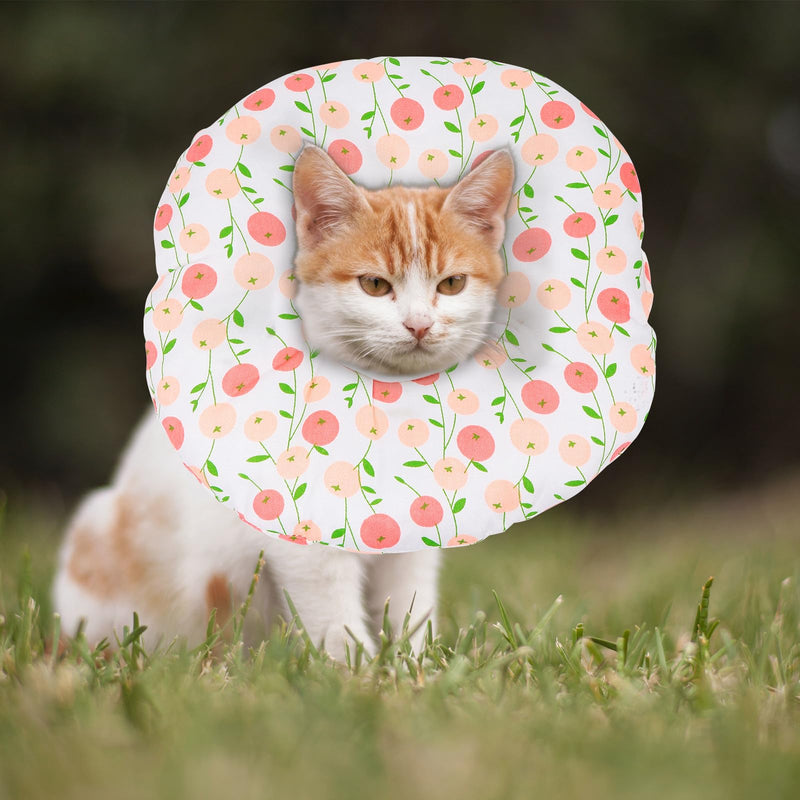 Kichvoe neck brace for wound healing after surgery, made of fabric for cats with comfortable protection and pet gatherings