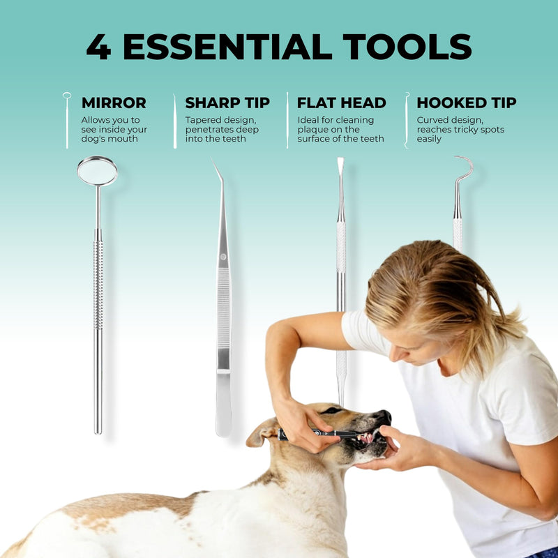 BRIGHT BITE™ | Ultrasonic Plaque Remover for Teeth | Dog Toothbrush; Cat Toothbrush | Quiet Tartar Remover | Dog Accessories | Teeth Cleaning Tools| Doggie Dental Scaler | Dental Tools | USB-C - PawsPlanet Australia