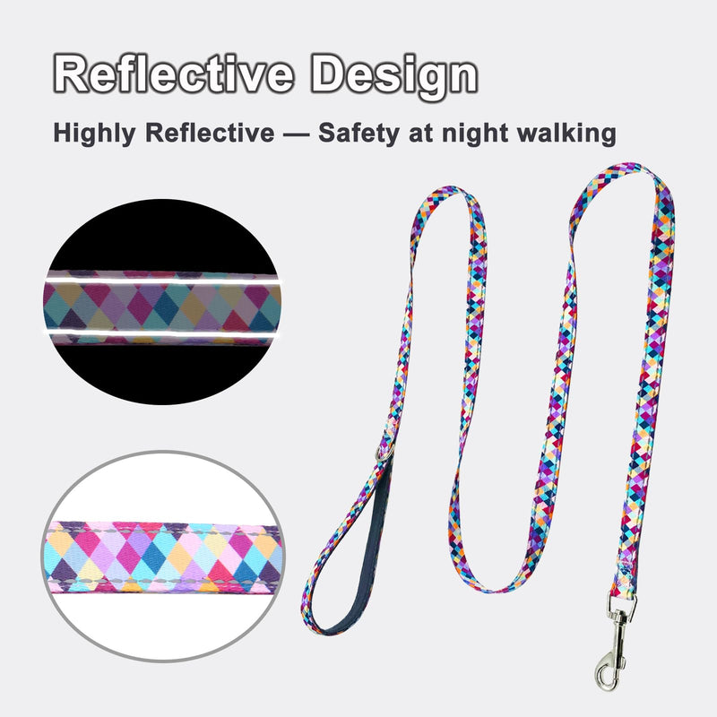 Reflective 5ft Dog Leash with Padded Handle, Soft Nylon Pet Leash with Neoprene Handle for Small Dogs, Colorful Geometric 5/8in x 5ft - Single Handle - PawsPlanet Australia