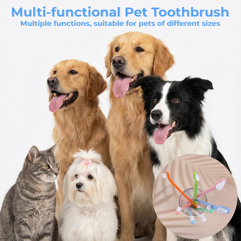 8Pcs Dog Toothbrush Set Small Cat Toothbrush Dual Headed Pet Tooth Brushes Mini Head Soft Dog Cat Tooth Brush for Small to Large Dogs Cats and Most Pets Teeth Brush Easy to Use
