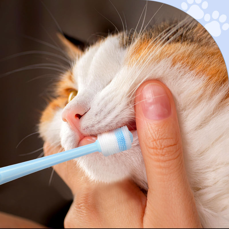 3-piece Cat and Dog Toothbrush, 360 Degree Cleaning, Soft Bristles, Pink, Blue, Green