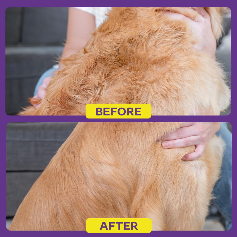 Hertzko Cat and Dog Dematting Tools Single Sided Dog and Cat Dematting Comb - for All Pets - Effortlessly Removes Tangles, Mats, and Loose Fur - Safe, Easy Grooming for Cats and Dog - Large - PawsPlanet Australia