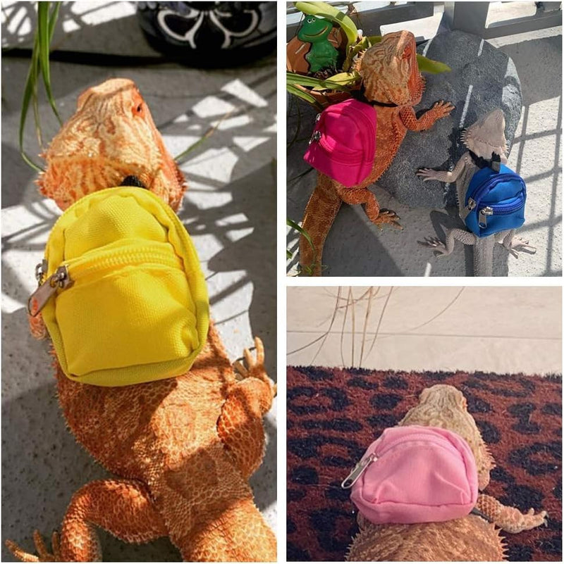 Bearded Dragons Harness Leashes Set Cute Backpack Back to School Design for Small Pets Reptile Lizard Crested Gecko Chameleon Rat Hamster Squrriel Ferret Photo Shoot (Green) Green - PawsPlanet Australia