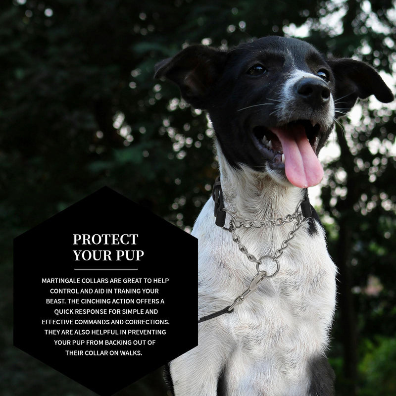 Leather Martingale Dog Collar No Pull Design Limited Stainless Steel Chain Cinch Training Dog Collar Adjustable Training No Slip Dog Collar for Large Dogs(Black Neck 15"-19.7") Black Large( Neck 15"-19.7", Width 1") - PawsPlanet Australia