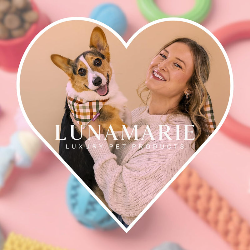 LunaMarie - Luxury Pet Birthday Bandanas -Premium & Silky Poly Fabric | 100% Handmade | Custom Shape Dual Layered (Birthday Girl, X-Small)